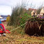 Tour en el lago Titicaca 1 día