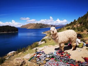 Tour Isla del Sol desde Puno